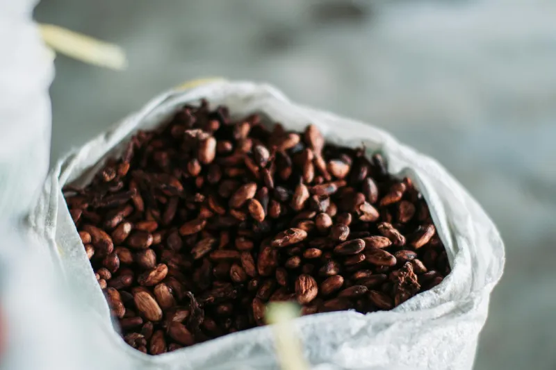 The Sweet Revolution: How Weekend Baking Connects Your Kitchen to Cocoa Farmers in Ghana